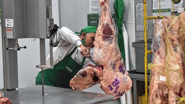 Inflación: carnicería y verdulería, los rubros que más subieron en Santa Fe en febrero