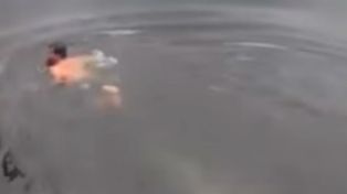 El video de la muerte de un encantador de cocodrilos estremece a los usuarios de las redes sociales