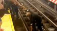 Rescate de un hombre en silla de ruedas en el subte de Nueva York
