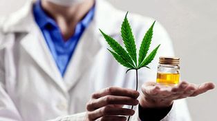 Proponen que el cannabis medicinal pueda ser vendido en farmacias