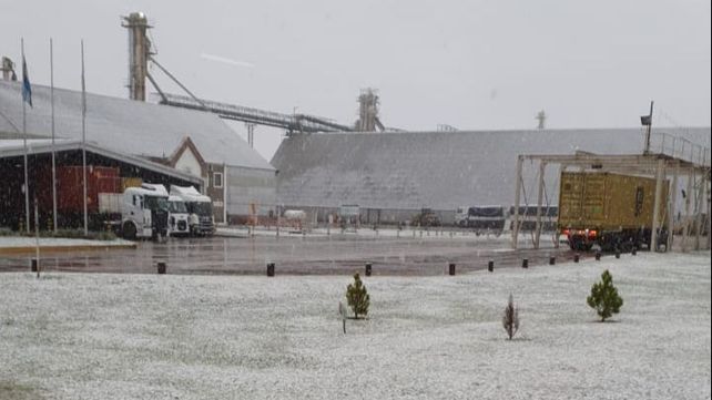 Todo blanco: imágenes de los campos nevados en Córdoba