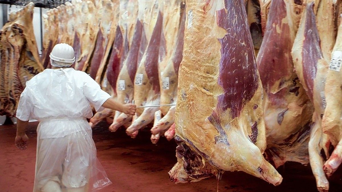 Argentina logr&oacute; el reconocimiento de Israel para enviarle carne bovina y ovina con hueso