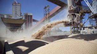 Los precios en mínimos de cuatro años incentivan a compradores genuinos y ponen en duda el aumento de producción en Sudamérica.
