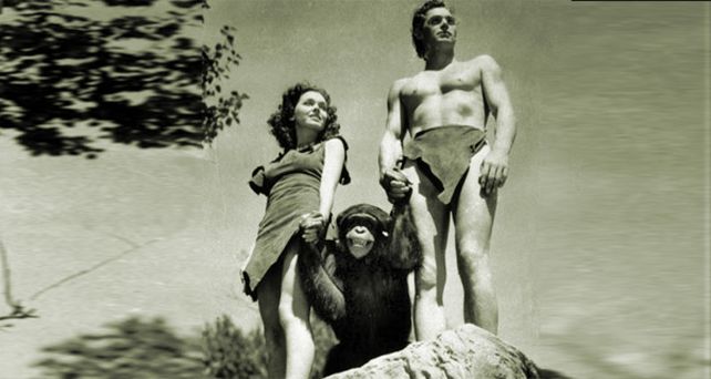 Muri&oacute; la mona Chita, el m&iacute;tico chimpanc&eacute; que acompa&ntilde;aba a Tarz&aacute;n