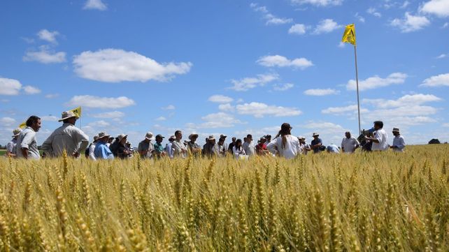 A campo. La cuenca triguera del sur fue sede del evento.