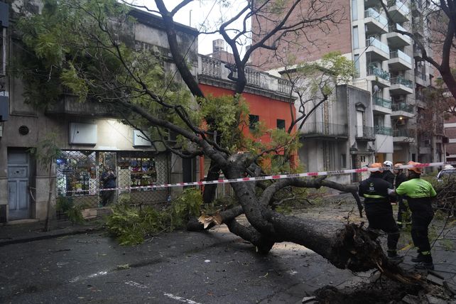 A raíz de los múltiples inconvenientes