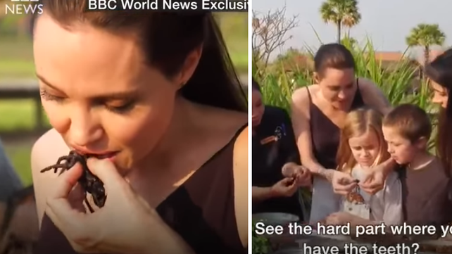 Video: Angelina Jolie comió tarántulas y escorpiones