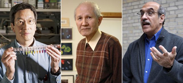Otorgan el Nobel de Qu&iacute;mica a un japon&eacute;s y dos estadounidenses