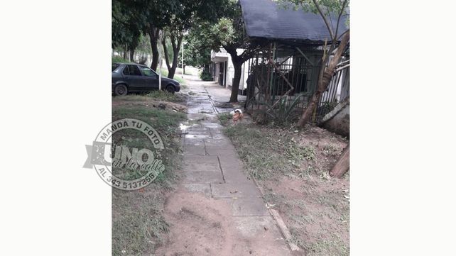 El agua alcanzó 80 centímetros en viviendas del barrio Paraná XIV