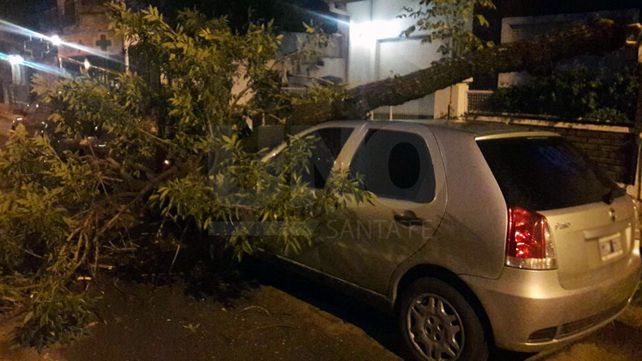 Mala suerte: parte de un árbol cayó sobre un auto en calle Urquiza