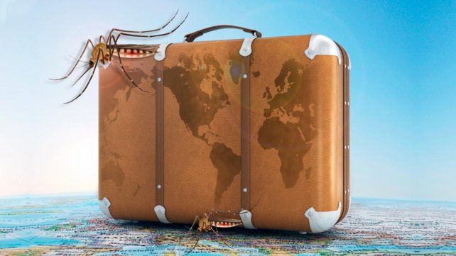 El Ministerio de Salud de Santa Fe advierte para que los viajeros tomen precaución ante el dengue El Ministerio de Salud de Santa Fe advierte para que los viajeros tomen precaución ante el dengue