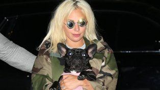 Lo condenaron a 21 años de prisión por robar dos bulldog francés de Lady Gaga