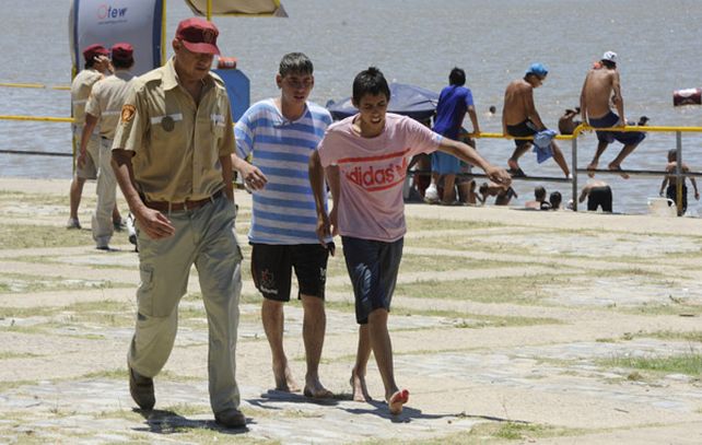 Rosario: se registraron al menos otros tres casos de ataques de palometas