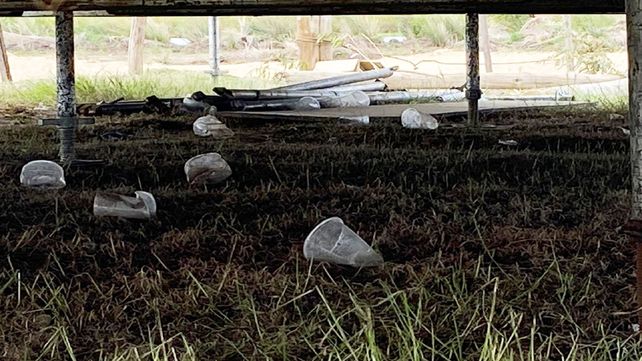 La Secretaría de Ambiente participó de operativo por fiesta ilegal en área natural protegida ubicada en pleno humedal