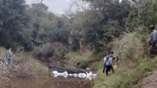 Este viernes se hicieron nuevos rastrillajes en el Río Tragadero en busca de más restos de Cecilia Strzyzowski.
