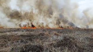 Incendios: Victoria tiene un foco activo y dos fueron controlados, según el SNMF