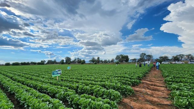México, un mercado clave en bioinsumos
