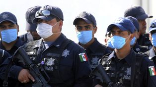 La OMS elev&oacute; a fase tres el alarma pand&eacute;mico por la gripe porcina
