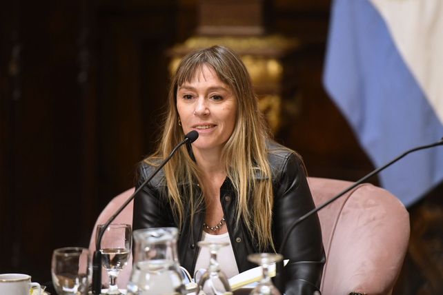 La senadora nacional Juliana Di Tullio cuestionó a la gestión de LLA.