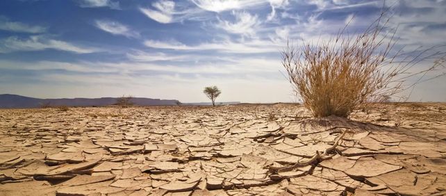 Cerca del 36% del territorio nacional está afectado por erosión hídrica