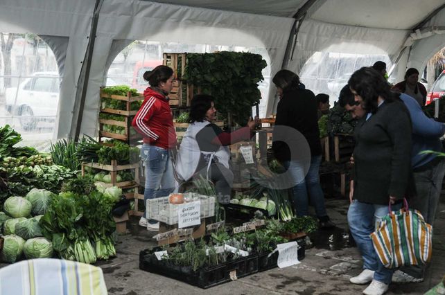 Productores de La Verdecita se instalaron en la Legislatura