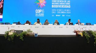 COP16 de Biodiversidad: tras dos semanas de negociaciones quedaron luces y sombras