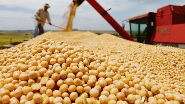 Soja: la cosecha alcanza el 15% en primera y 4% en segunda en Entre Ríos.