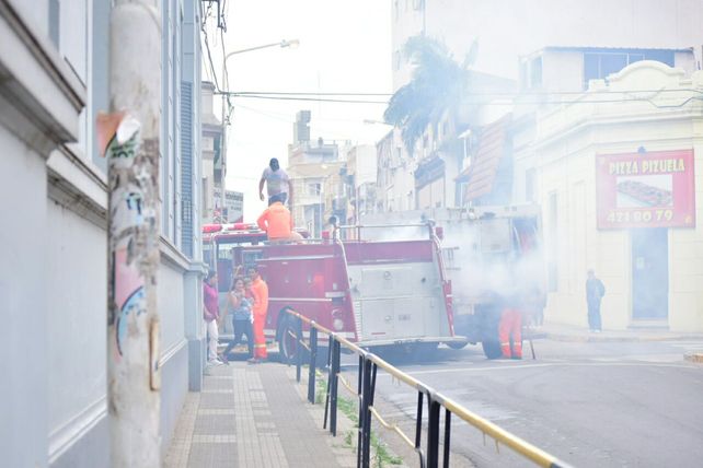 Foto Gentileza Fernando López.&nbsp;