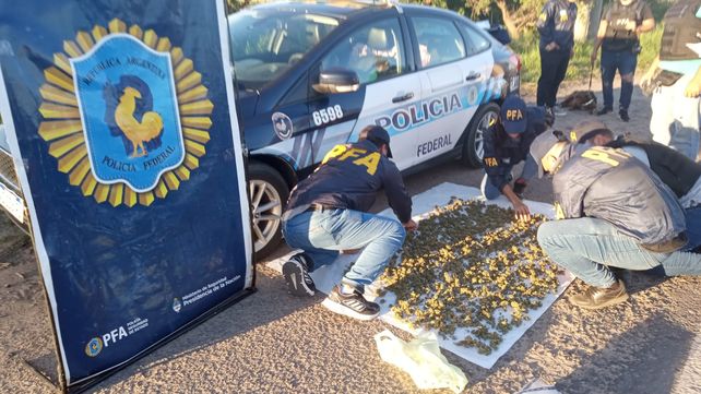 La Federal secuestró cogollos de marihuana en un control de las rutas Provincial 1 y Nacional 168 La Federal secuestró cogollos de marihuana en un control de las rutas Provincial 1 y Nacional 168