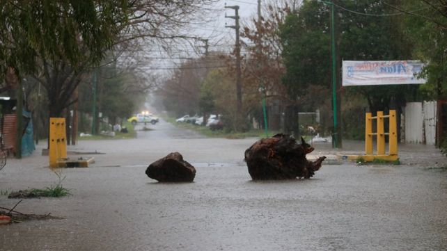 Videos y fotos que dan cuenta de la gravedad de las inundaciones en La Plata