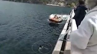 Video: un joven se ahogó en el lago Lácar y efectivos de Prefectura fueron apuntados por el fallido rescate