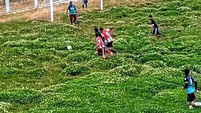 El estado de la cancha donde se jugará la Copa Perú.