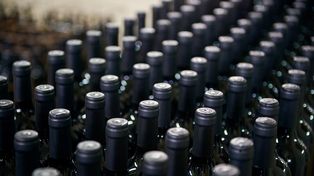 Récord histórico de exportaciones de vinos argentinos