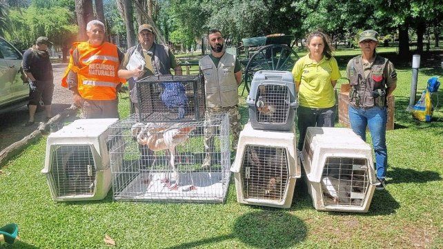 Rescataron aves silvestres y exóticas mantenidas ilegalmente en Gualeguay.