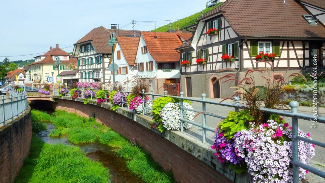 Alemania, la Selva Negra y sus paisajes de ensueño
