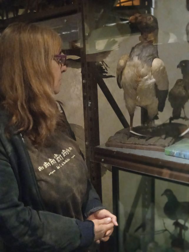 El Museo Gallardo invita a conocer los secretos de su depósito