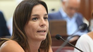 La ley de paridad es un gran aporte a la democracia santafesina