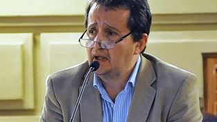 Del Frade: Presentación de nuevos proyectos de ley, declaración e informes
