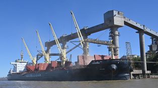 Europa exigirá soja libre de deforestación: ¿Cuánto podríamos perder y cuánto sale adaptarse?