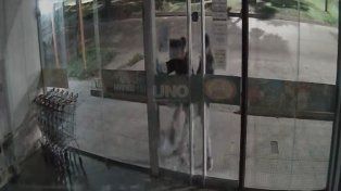 Una semana después volvieron a romper la vidriera y robaron en un mayorista