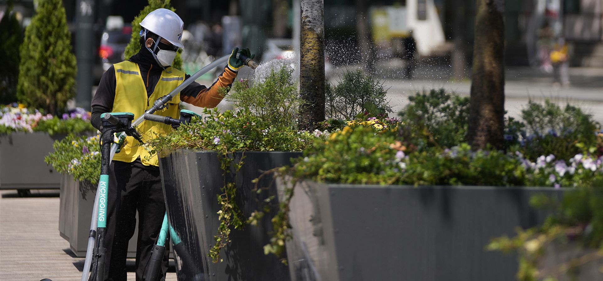 Un trabajador riega flores en el centro de Seúl, Corea del Sur, el lunes 2 de mayo de 2022.