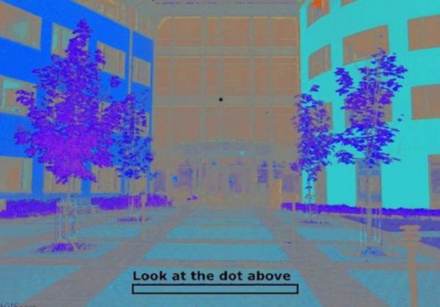 La ilusión óptica que es viral: ¿los edificios están en color o en blanco y negro?