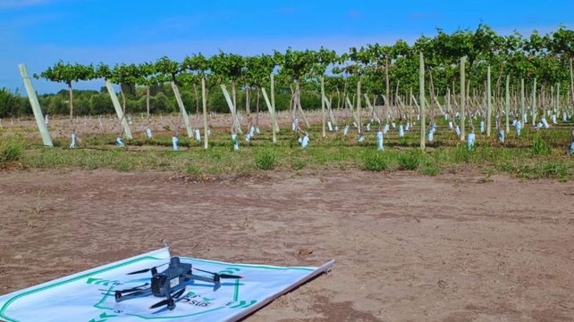 El productor necesita certezas antes de incorporar una nueva tecnología. Con este protocolo