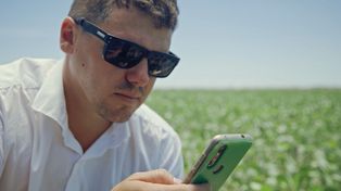 Lo que dejó la última campaña de trigo en los campos monitoreados por Sima