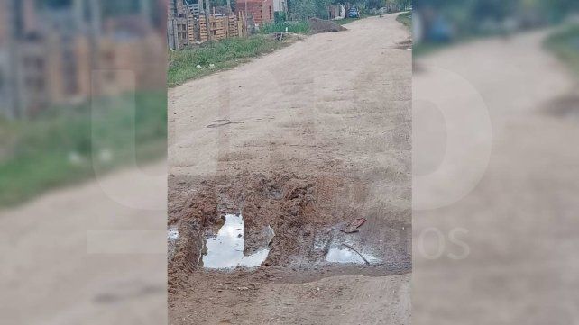 Calle Tibiletti: vecinos aislados y cansados de reclamar por el estado de la arteria