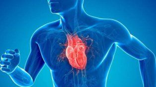 Enfermedades cardiovasculares