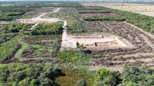 El desmonte ilegal de bosques nativos se registró en el distrito Logroño