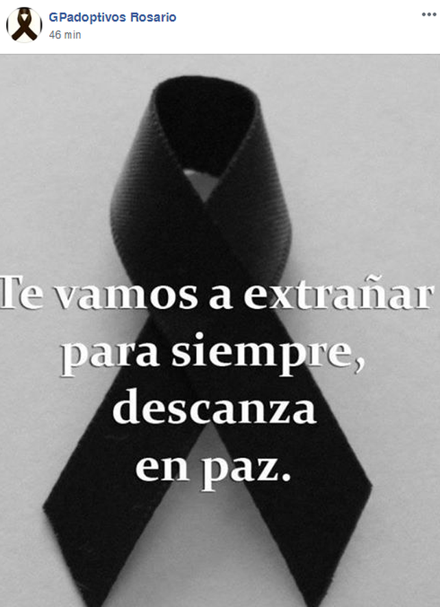 Dolor ante la pérdida de una incansable trabajadora por la adopción de chicos