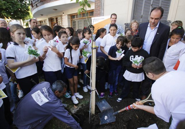 Plan de Arbolado 2015: se plantarán 10 mil ejemplares en toda la Ciudad