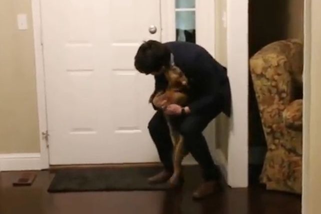 Mirá la reacción de este perrito por el regreso de su dueño Mirá la reacción de este perrito por el regreso de su dueño